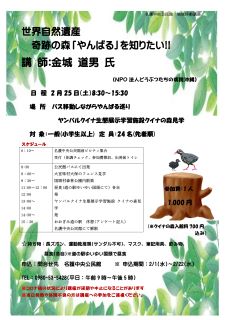 R4奇跡の森「やんばる」を知りたいチラシ