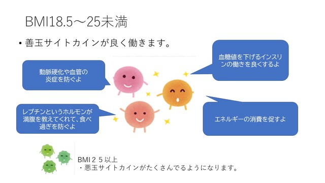 BMI18