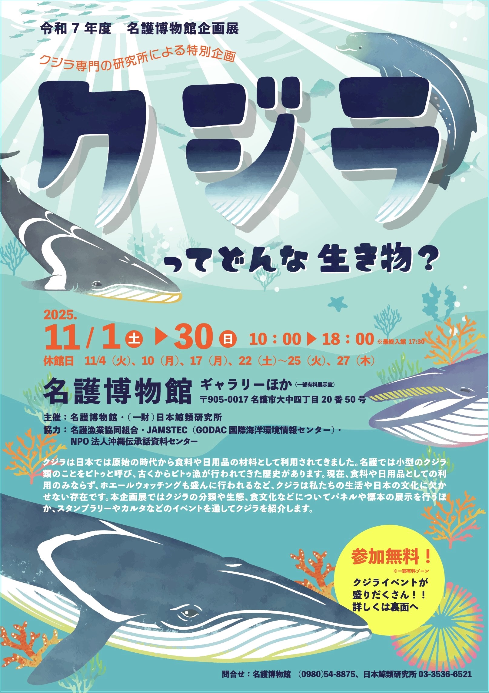 令和７年度名護博物館企画展「クジラ専門の研究所による特別企画　クジラってどんな生き物？」開催のお知らせ