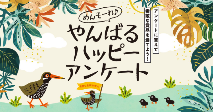 アンケート周知画像