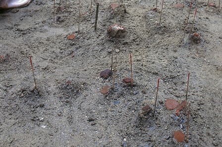 busenaminami_dokisyutudo