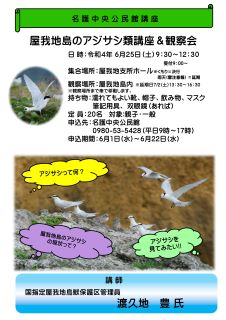 R4屋我地のアジサシ講座&観察会チラシ