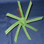 カジマヤー（8枚）