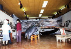 開館10周年記念企画展「ピトゥと名護人」 平成6年（1994）3月