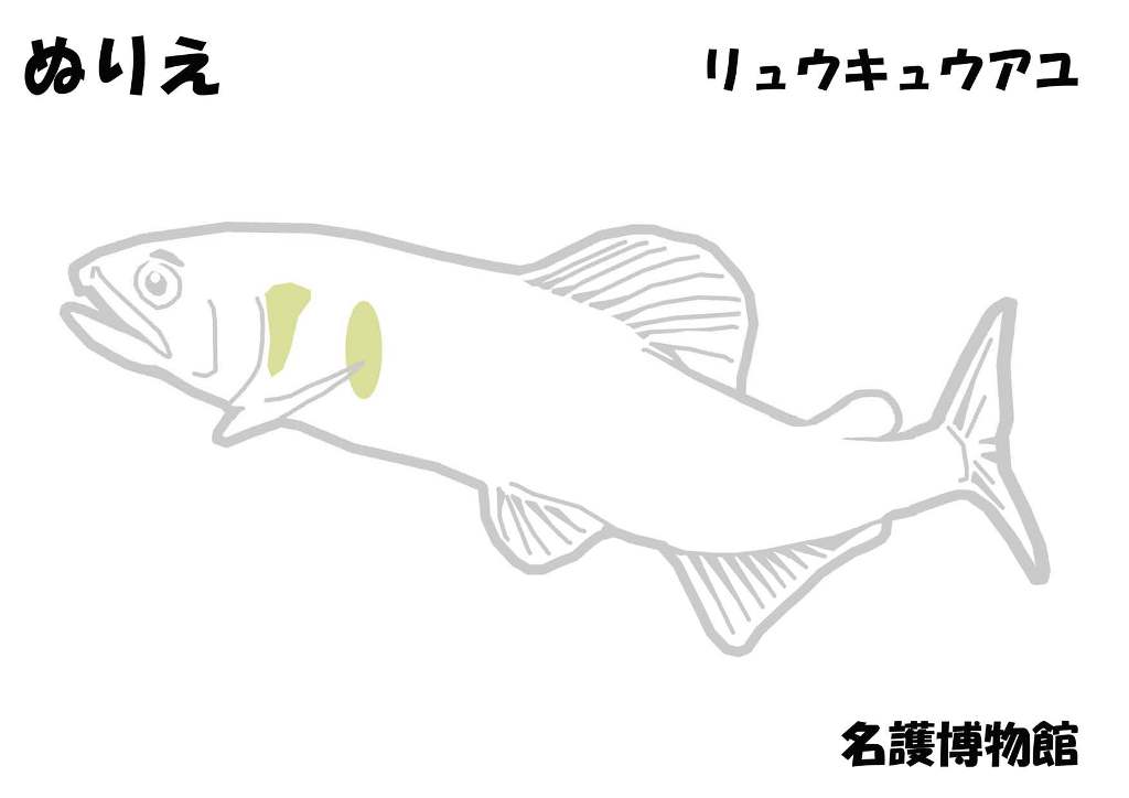 ぬりえ_ﾘｭｳｷｭｳｱﾕ