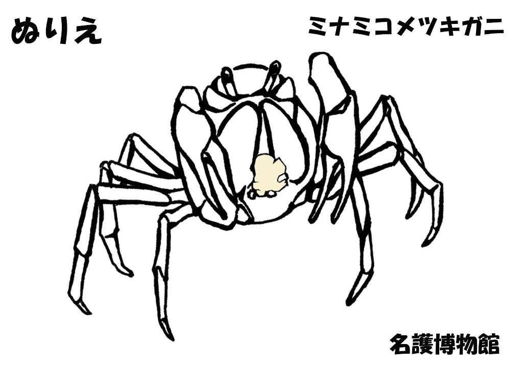 ぬりえ_ﾐﾅﾐｺﾒﾂｷｶﾞﾆ