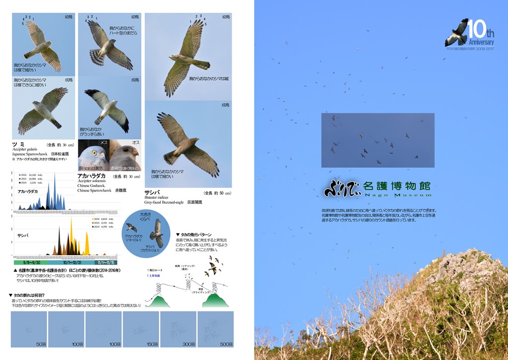 タカ渡り観察シート