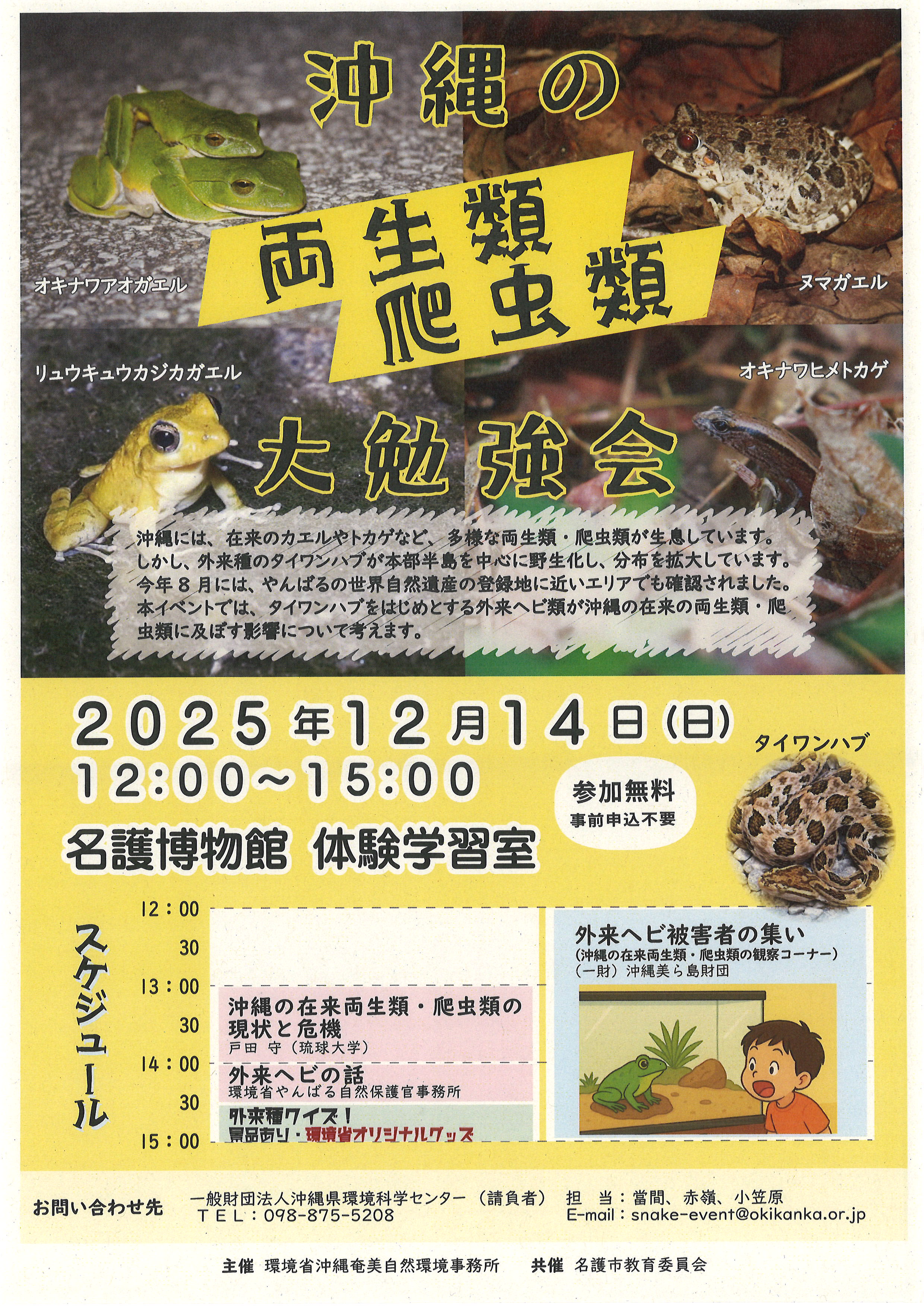 沖縄の両生類爬虫類大勉強会